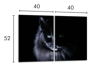 Produktbild von Glasschutzplatte für den Herd 2x40x52 Cat