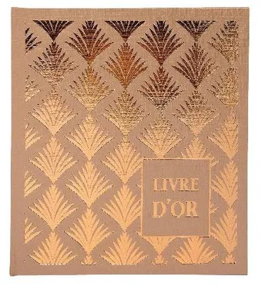 Image de Exacompta 2x Livre d'or 140p. tranche or 21x19cm PALMYRE Nude palmier 9522E
