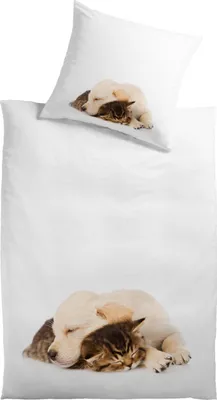 Produktbild von Baumwolle Renforcé Bettwäsche "Tierkinder"