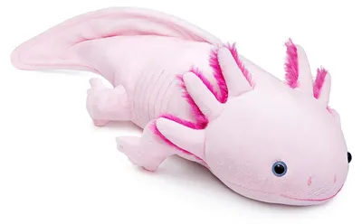 Immagine prodotto di Axolotl, peluche - 50 cm - Rosa