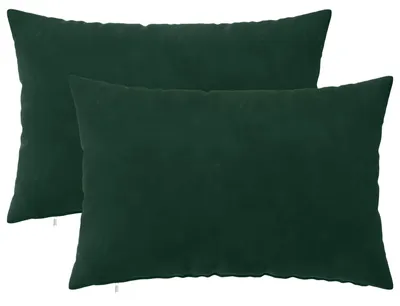 Image de vidaXL Coussins décoratifs HEERLEN, lot de 2, vert foncé, velours