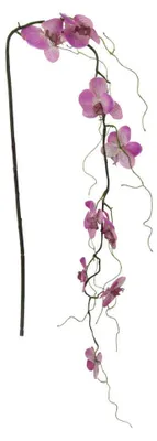 Produktbild von Kunstblume Phalaenopsis 122cm. Künstlicher Orchideen-Zweig Pink