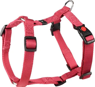 Produktbild von Flamingo Geschirr Ziggi kirschrot, Größe: S / Breite: 15 mm