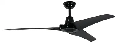 Produktbild von Industrie Deckenventilator Pepeo Vourdries Schwarz 142 cm ohne Steuerung
