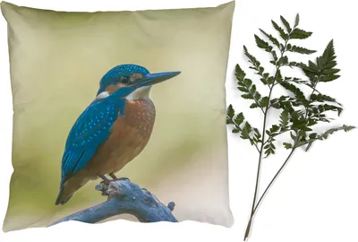 Produktbild von MuchoWow® Zierkissen Sofakissen Wohnzimmer Dekokissen 45x45 cm Eisvogel - Zweig - Vogel - Schlafpolster - Polster für das Sofa