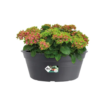 Produktbild von elho green basics Schale 33cm - lebhaft schwarz