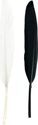 Produktbild von Indianderfeder schwarz weiß 13 cm ca. 15 Stück