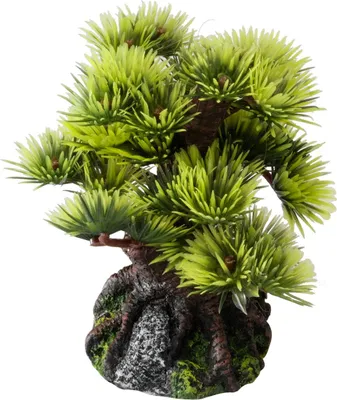 Zdjęcie produktu dla Dekoracja akwariowa - sosna bonsai 9,5cm Aqua Della
