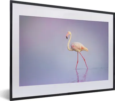 Produktbild von MuchoWow® MuchoWow® Gerahmtes Poster Flamingo - Wasser - Rosa 40x30 cm - Poster mit zchwarzem Bilderrahmen - Bilderrahmen - Poster im Rahmen