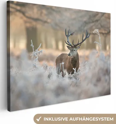 Produktbild von MuchoWow® - Leinwandbilder - Hirsche - Tiere - Winter, Wandbild, Wanddeko Bilder Wohnzimmer, 120x90 cm