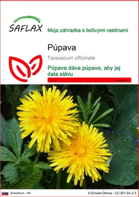 Obrázok produktu pre SAFLAX - púpava - Taraxacum officinale - 200 Semená