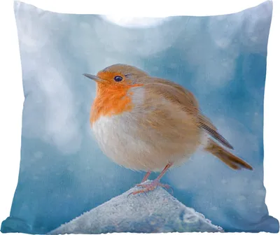 Produktbild von MuchoWow® Zierkissen Sofakissen Wohnzimmer Dekokissen 50x50 cm Rotkehlchen - Winter - Blau - Komfort - Sofakissen