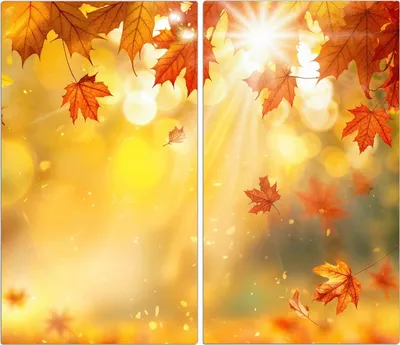 Produktbild von Spritzschutz Herdabdeckplatte Schneidebrett aus Glas Herbstblätter Sonne 2-Teilig (60x52cm)