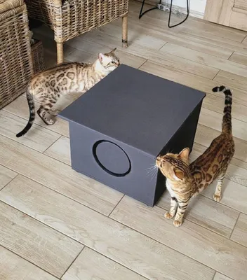 Produktbild von Katzenhaus Draußen Doppelt Isoliert 40x40 cm Wetterfest Winterfest Outdoor