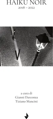 Produktbild von Haiku noir. 2018-2022