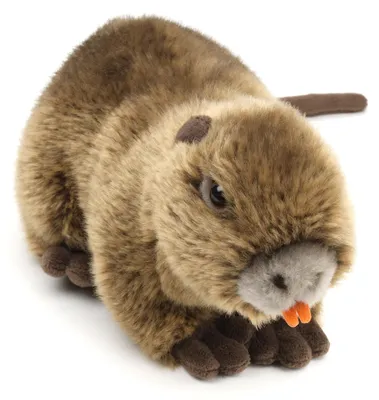 Immagine prodotto di Nutria in peluche 22 cm ECO-FRIENDLY