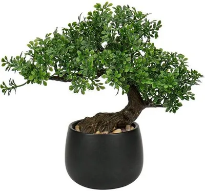 Obrázek produktu pro 25cm keramická rostlina – bonsai jako dekorace do obývacího pokoje