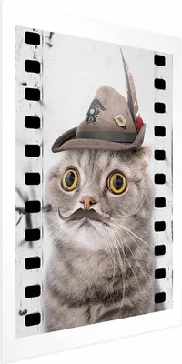 Produktbild von Posterpapier Poster - Cat in a Hat 29.7x42 cm Für Kinder g-A-0161-ao-a