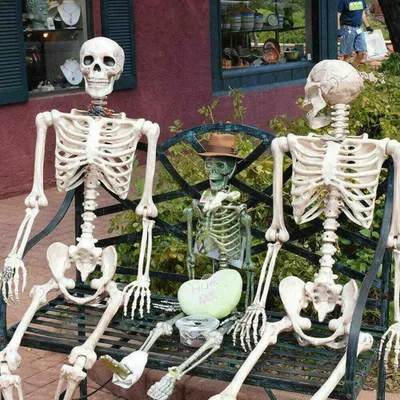 Produktbild von 90cm Halloween-Skelett Halloween Lebensgroß Beweglich Lehrmodell Anatomie Deko-Party-Requisite
