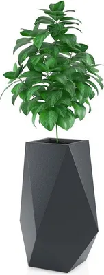 Produktbild von promondo living: Pflanzgefäß VOLCANO anthrazit (Volcano Antracyt)