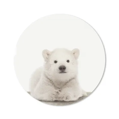 Produktbild von MuchoWow® Mauspad Mousepad Tier - Weiß - Eisbär 40x40 cm - Mousepads - Maus Mat - Pad - Mausunterlage - Schreibtisch Accessoires