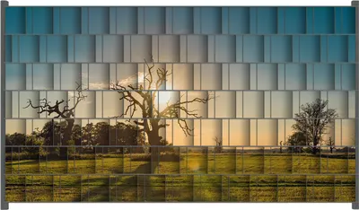 Produktbild von Wallario Zaunsichtschutz mit Motiv Alte knochige Bäume bei Sonnenuntergang für Ein- und Doppelstabmatten Zäune in der Größe 250 x 140 cm