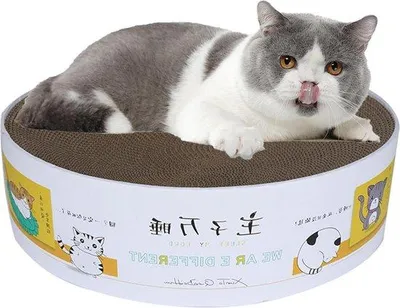 Immagine prodotto di Tappetino a forma di granchio in cartone - Giocattolo per gatti con cartone a forma di granchio - Per gatti fino a 5 kg - Realizzato con materiale riciclato