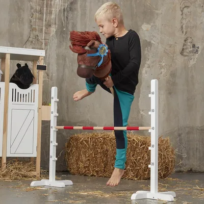 Image de Obstacle en bois pour hobby horsing