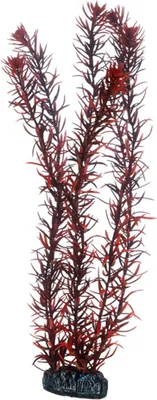 Produktbild von Hobby Eusteralis - 39 cm - künstliche Aquariumpflanze