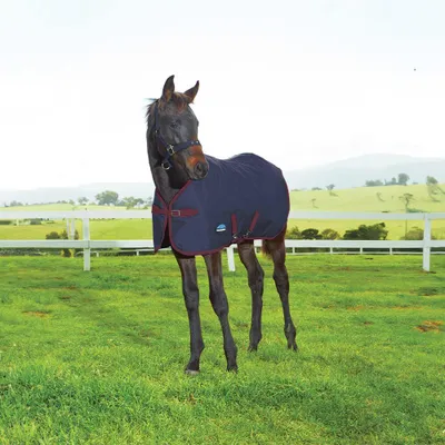 Image de Weatherbeeta 1200D Foal Standard Neck 220g - Taille 55