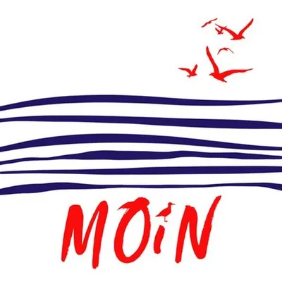 Produktbild von 20 Servietten Moin - Möwen an Moin 33x33cm