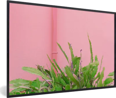 Produktbild von MuchoWow® Gerahmtes Poster Pflanze - Sommer - Rosa 90x60 cm - Poster mit Schwarzem Bilderrahmen Wandposter Rahmen Foto Bilder - Fotorahmen - Foto-Plakat