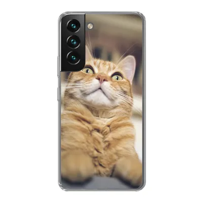 Produktbild von MuchoWow® Handyhülle Schutzhülle Hülle für Samsung Galaxy S22 Katze - Bank - Orange Silikon Softcase Handy Hülle - Mobiltelefonhülle