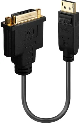 Obrázok produktu pre LINDY Displayport auf DVI-D Adapterkabel 0.15m