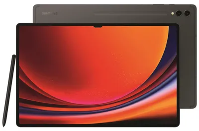 Produktbild von Samsung Galaxy Tab S9 Ultra X910 WiFi 12GB 256GB EU graph.