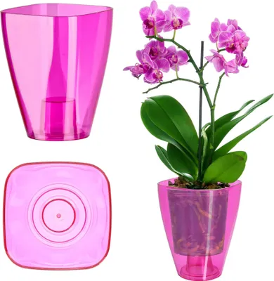 Obrázok produktu pre Kvetináč na orchidey – plastový kvetináč – malý – ružový