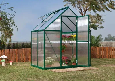 Image de Palram Mythos 6x4 serre, 1,85m x 1,25m