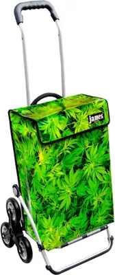 Produktbild von James Einkaufstrolley - BUSHDOCTOR - stabiler Einkaufswagen mit individuellem Design - einfarbig: grün in Ausführung: Royal-Treppensteiger