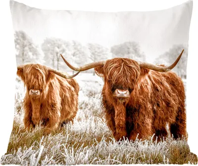 Produktbild von MuchoWow® Zierkissen Sofakissen Wohnzimmer Dekokissen 50x50 cm Schottisches Hochlandrind - Kuh - Tiere - Komfort - Sofakissen