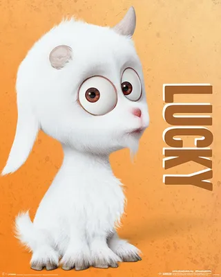 Obrázek produktu pro Despicable Me - Miniposter - 3 - Lucky + 1 Ü-Poster velikost 61x91,5cm