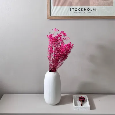 Produktbild von Gypsophila Schleierkraut konserviert 60-75cm für Vasen Trockenblumen Langlebig