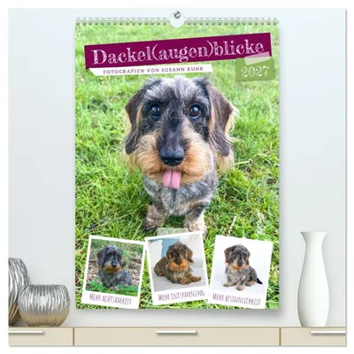 Produktbild von Dackel(augen)blicke (hochwertiger Premium Wandkalender 2027 DIN A2 hoch), Kunstdruck in Hochglanz