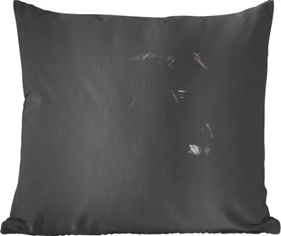 Produktbild von MuchoWow® Zierkissen Sofakissen Wohnzimmer Dekokissen 60x60 cm Pferd - Tiere - Schwarz - Porträt - Sitzfläche - Foto Polster