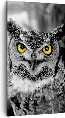 Produktbild von Bild auf Leinwand - Leinwandbild - Eule Vogel Natur - 45x80cm - Wand Bild - Wanddeko - Wandbilder - Leinwanddruck - Bilder - Kunstdruck - Wanddekoration - Leinwand bilder - Wandkunst - PA45x80-1318