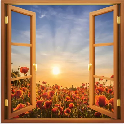 Produktbild von ARTland Wandbild Alu für Innen & Outdoor Untergehende Sonne im Mohnblumenfeld Größe: 70x70 cm
