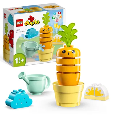 Obrázek produktu pro Pěstování mrkve