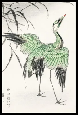 Produktbild von Plakat 40x60cm Demoisellekranich, Japanischer Vintage Kashu für das Wohnzimmer