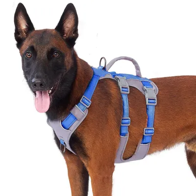 Image de Harnais de sécurité pour chien, anti-évasion, avec poignée, réfléchissant, réglable, bleu marine, taille L