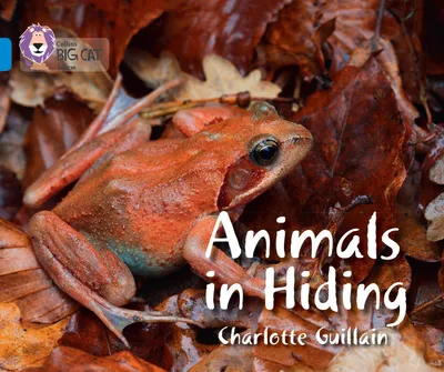 Produktbild von Animals in Hiding