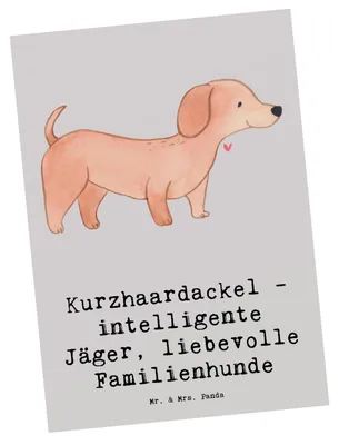 Produktbild von Mr. & Mrs. Panda Postkarte Kurzhaardackel Liebe - Grau Pastell - Geschenk, Ansichtskarten, bildkarte, Ansichtskarte, Hunderassen Beschreibung, Charakter, Postkarten